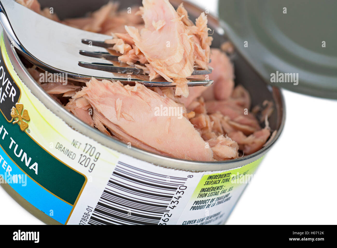 Tin von Flake Stück Thunfisch Thunfisch kann Stockfoto