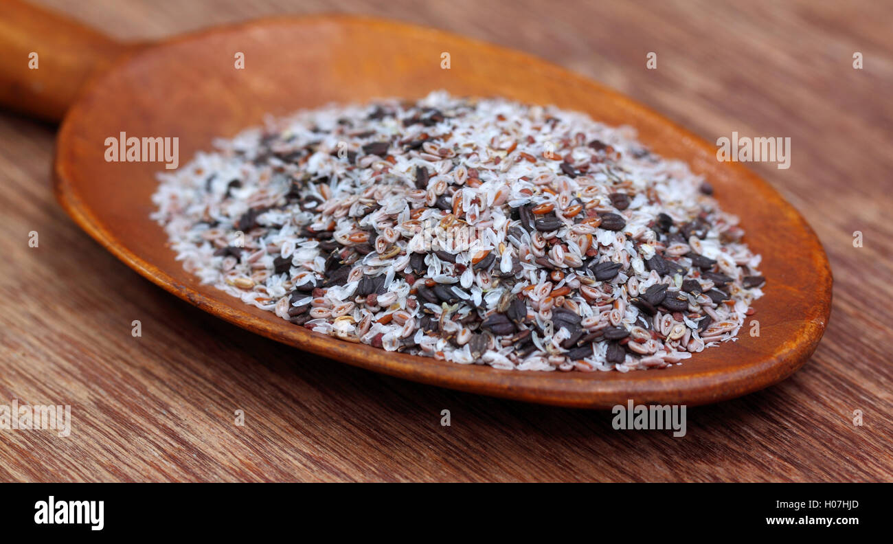 Heilkräuter-Isabgul und Basilikum Samen auf einem Holzlöffel Stockfoto
