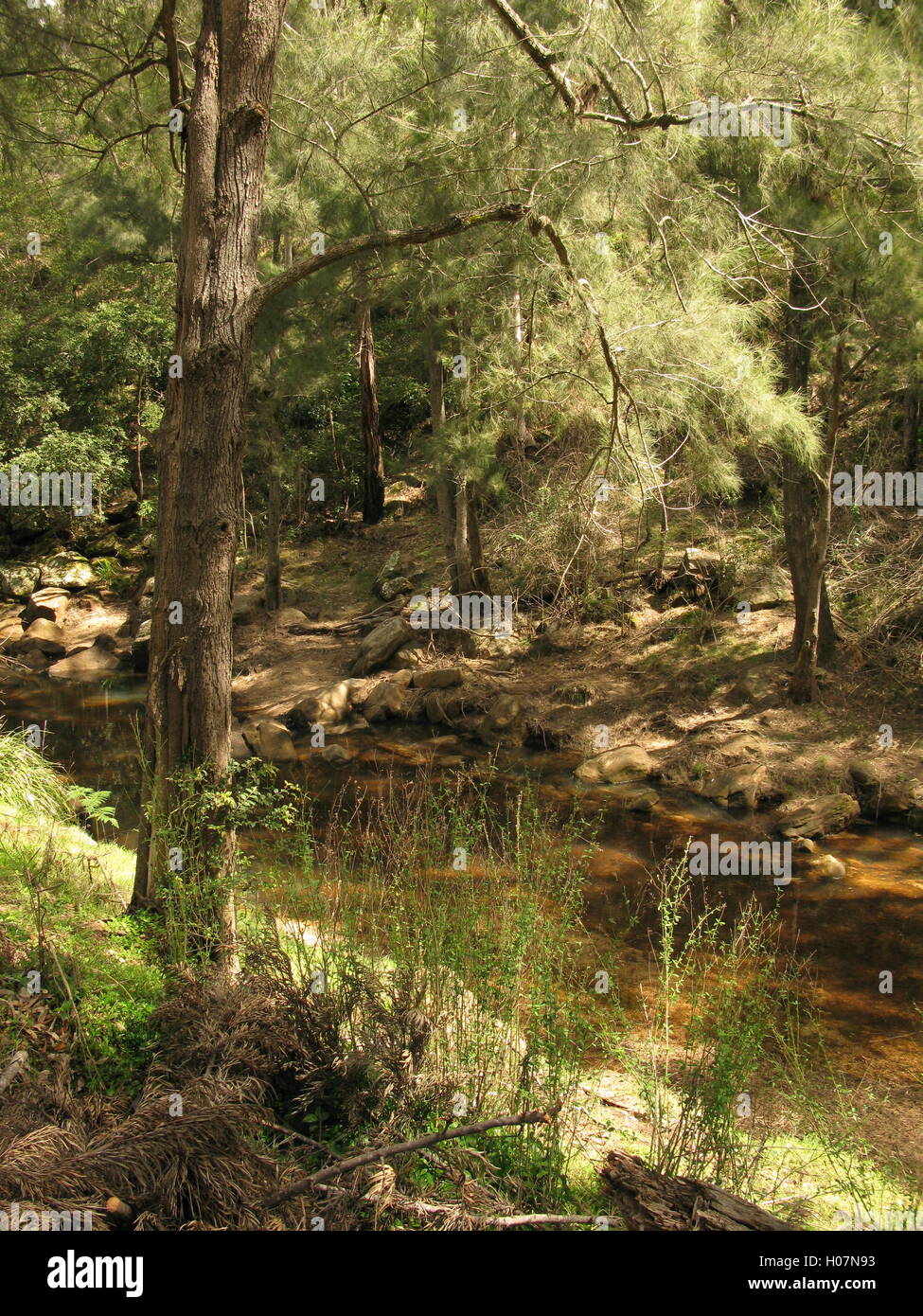 Parson es Creek, Yengo National Park, Australien Stockfoto