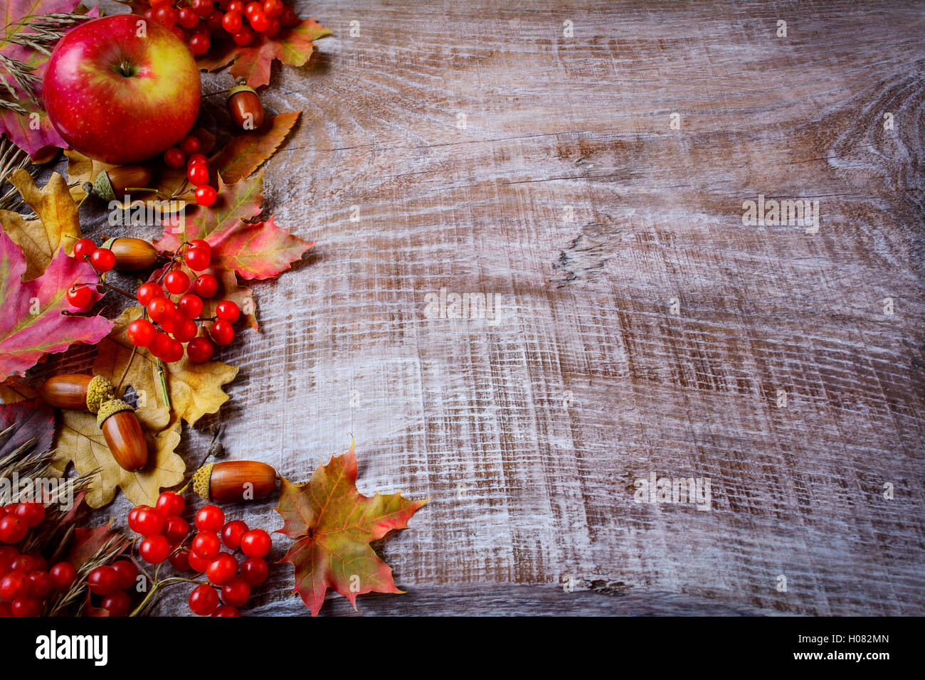 Grenze der Früchte und im Herbst Blätter auf dem dunklen Holz Hintergrund. Thanksgiving-Hintergrund mit saisonalen Früchten.  Textfreiraum Stockfoto