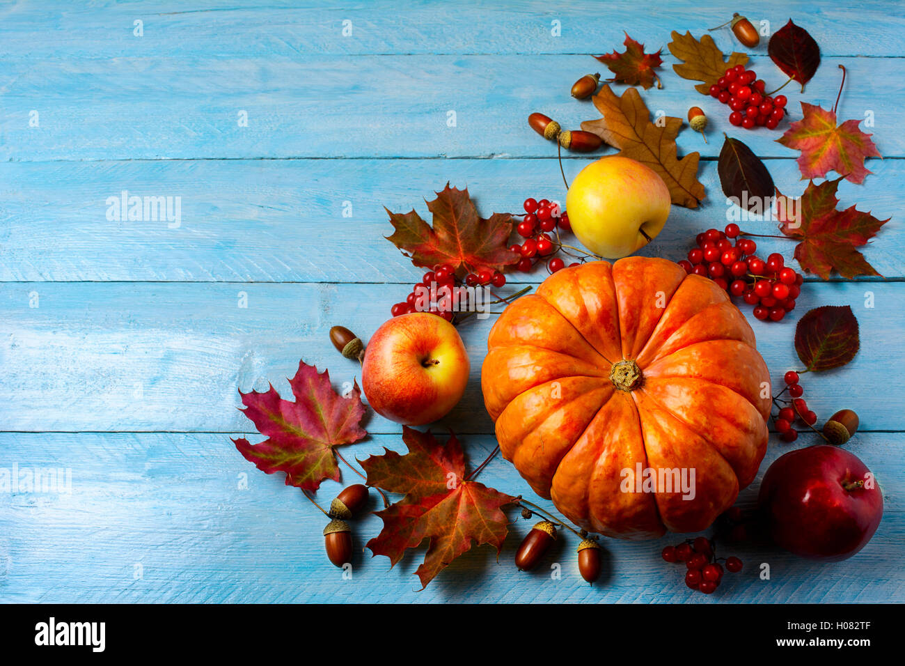 Kürbis, Äpfel, Beeren, Eicheln und Herbst Blätter auf blauem Hintergrund Textfreiraum. Thanksgiving-Hintergrund mit Saisongemüse Stockfoto