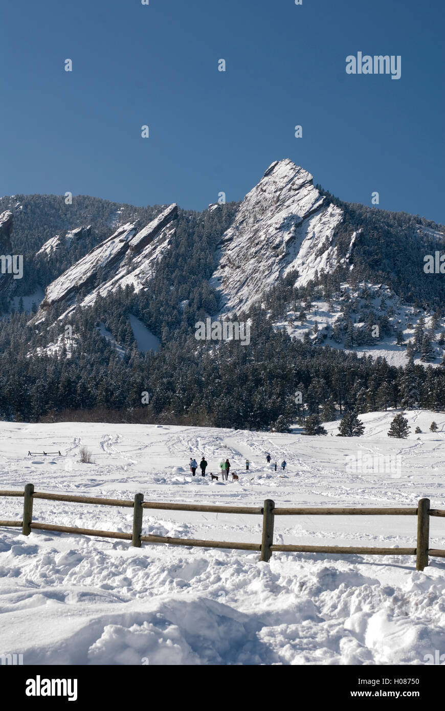 Flatirons von Chautauqua Park nach Winterschnee Stockfoto