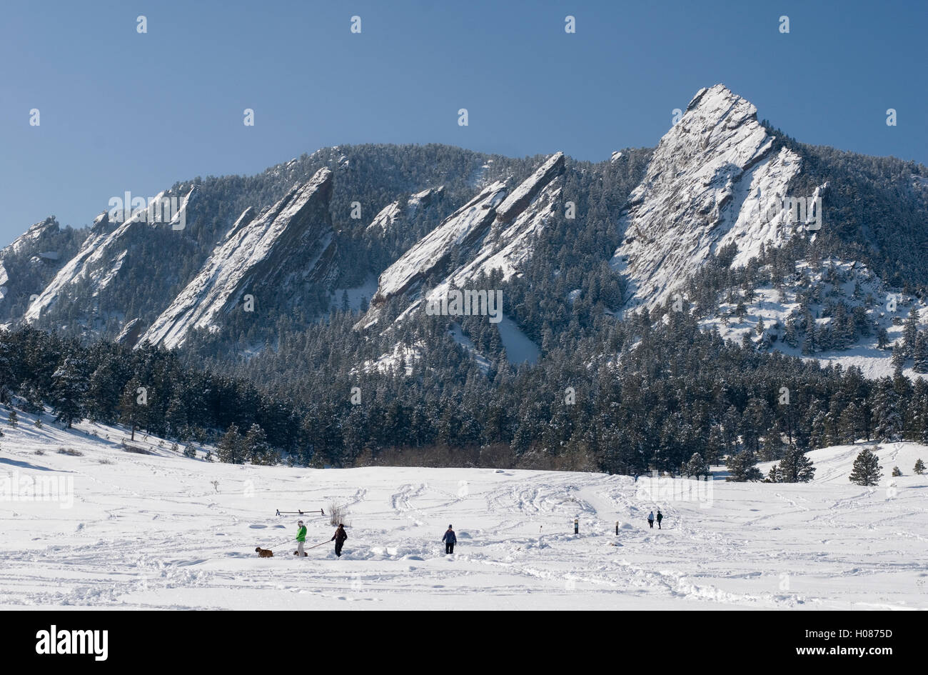 Flatirons von Chautauqua Park nach Winterschnee Stockfoto