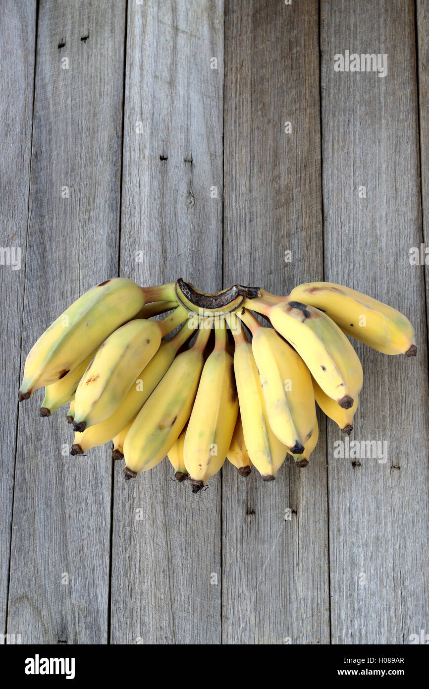 Ducasse Bananen oder auch bekannt als Zucker Bananen auf Holzbrett Stockfoto