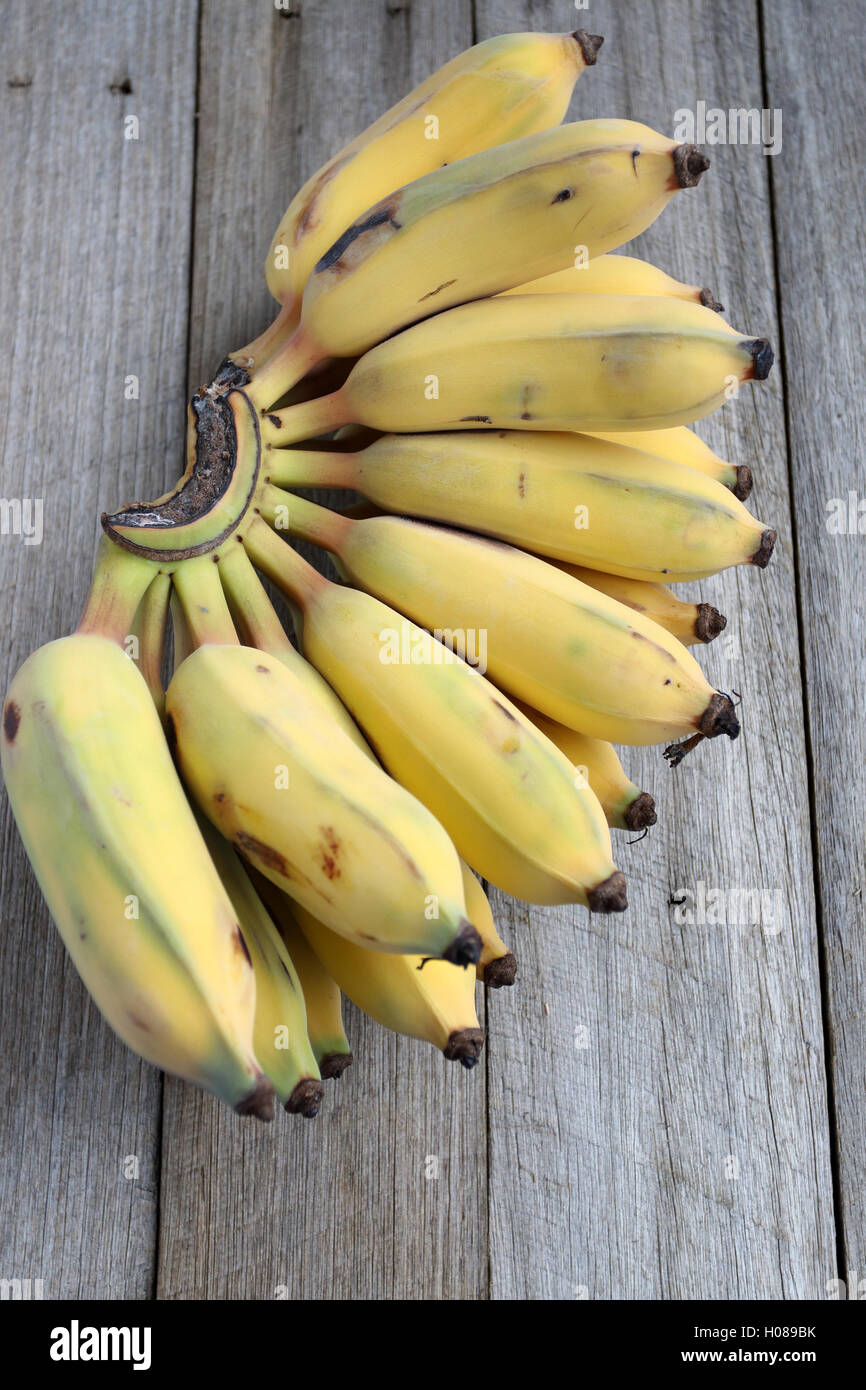 Ducasse Bananen oder auch bekannt als Zucker Bananen auf Holzbrett Stockfoto