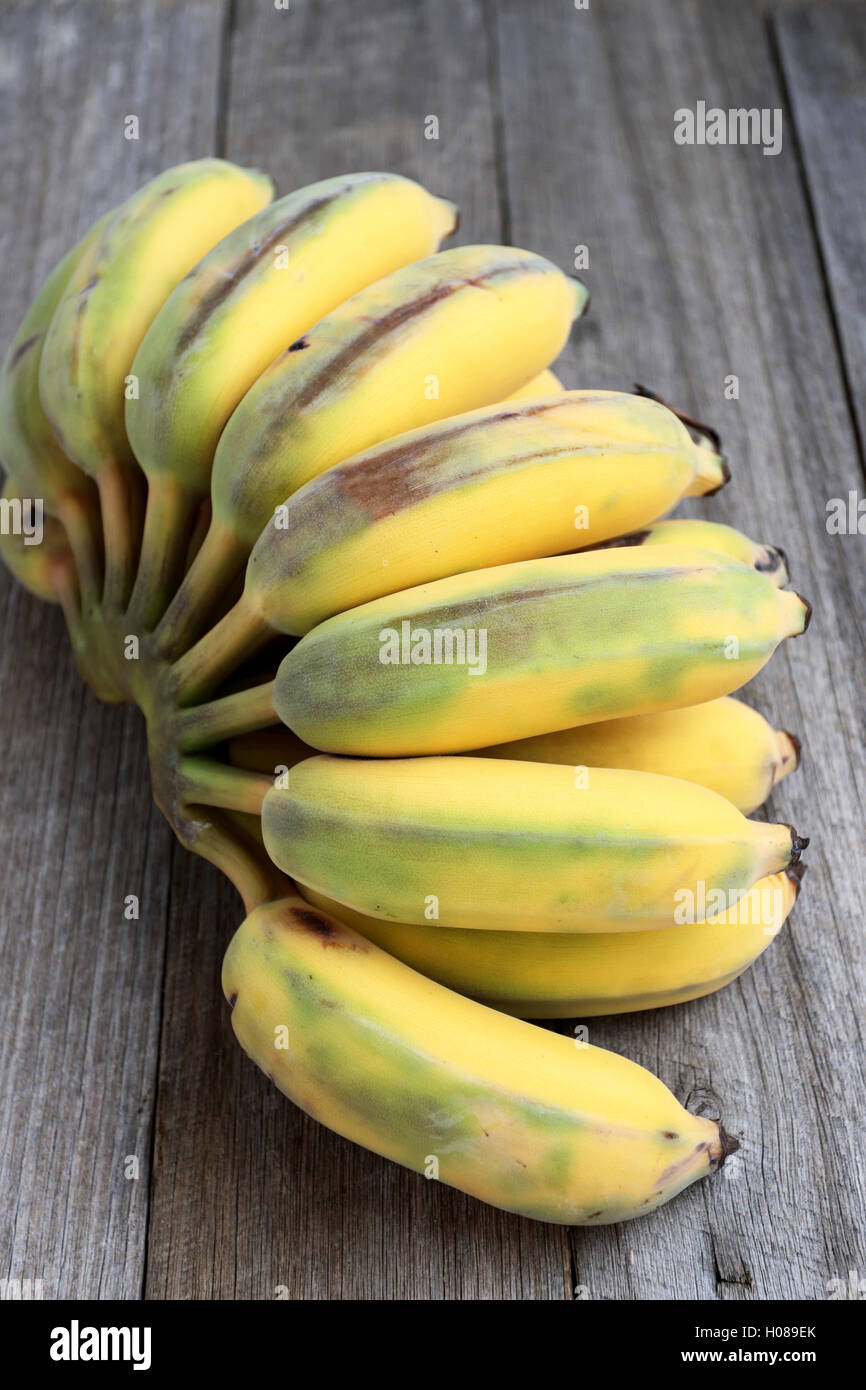 Ducasse Bananen oder auch bekannt als Zucker Bananen auf Holzbrett Stockfoto