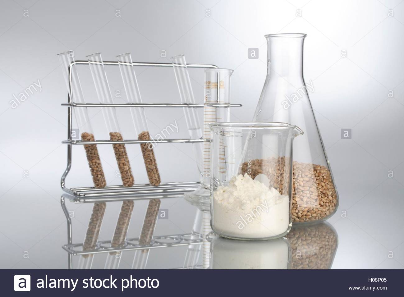 Blickwinkel Englisch