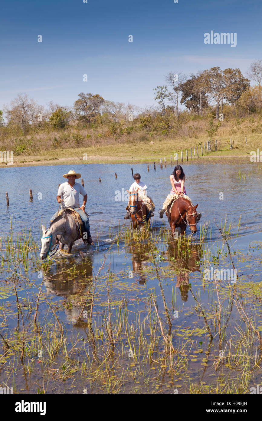 Touristen im Feuchtgebiet Pantanal Mato Grosso do Sul, Brasilien, Südamerika Stockfoto