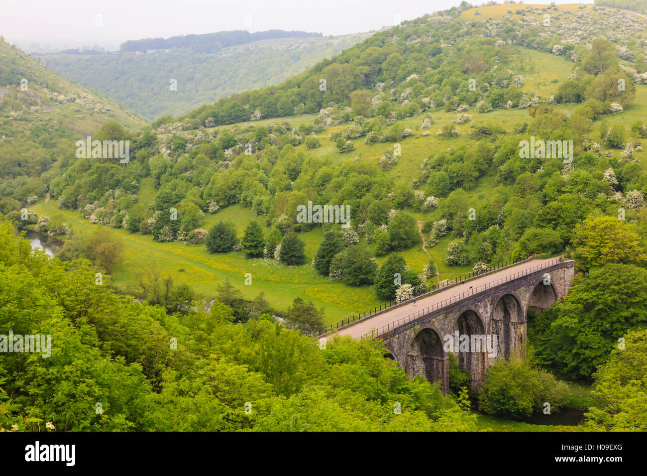Monsal Trail-Viadukt, Monsal Kopf, Monsal Dale, ehemalige Bahnstrecke, Bäume in voller Blatt im Sommer, Peak District, Derbyshire, UK Stockfoto