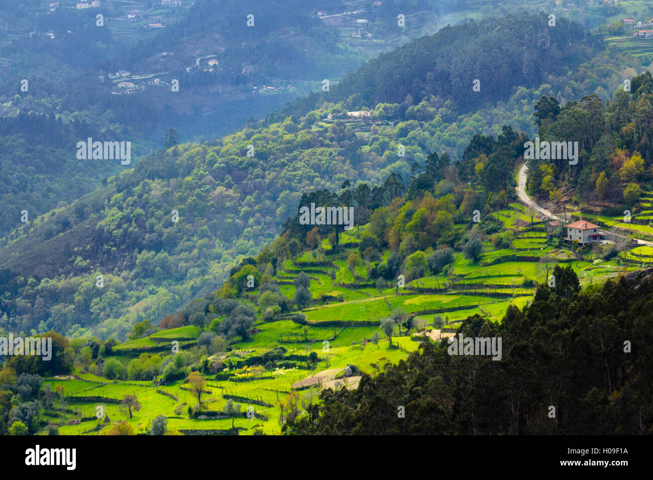 Terrassierten Felder, Peneda Geres Nationalpark, der einzige Nationalpark in Portugal, Norte Region, Deutschland, Europa Stockfoto