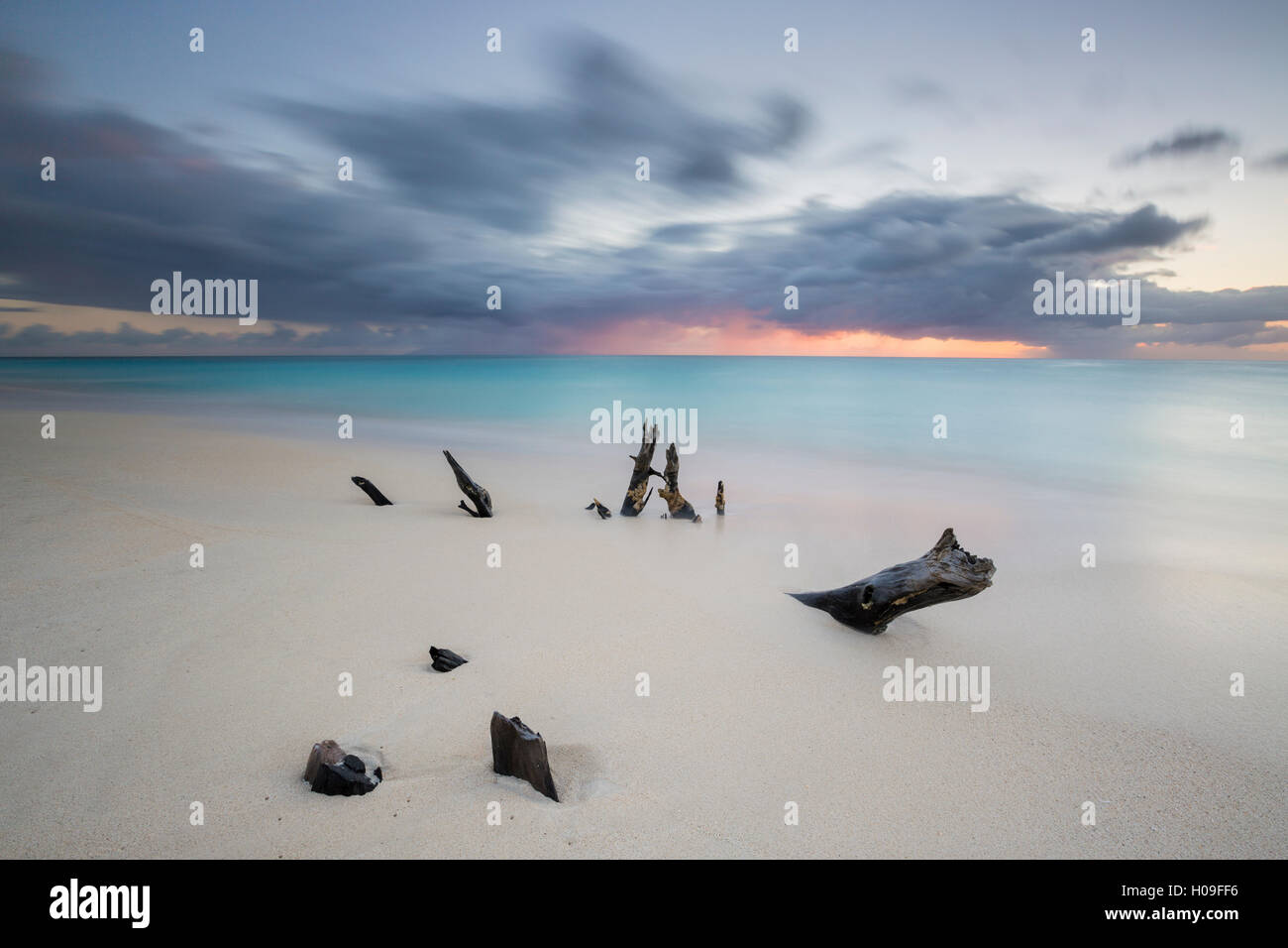 Karibischer Sonnenuntergang umrahmt Baumstämme auf Ffryes Strand, Antigua, Antigua und Barbuda, Leeward-Inseln, West Indies, Caribbean Stockfoto