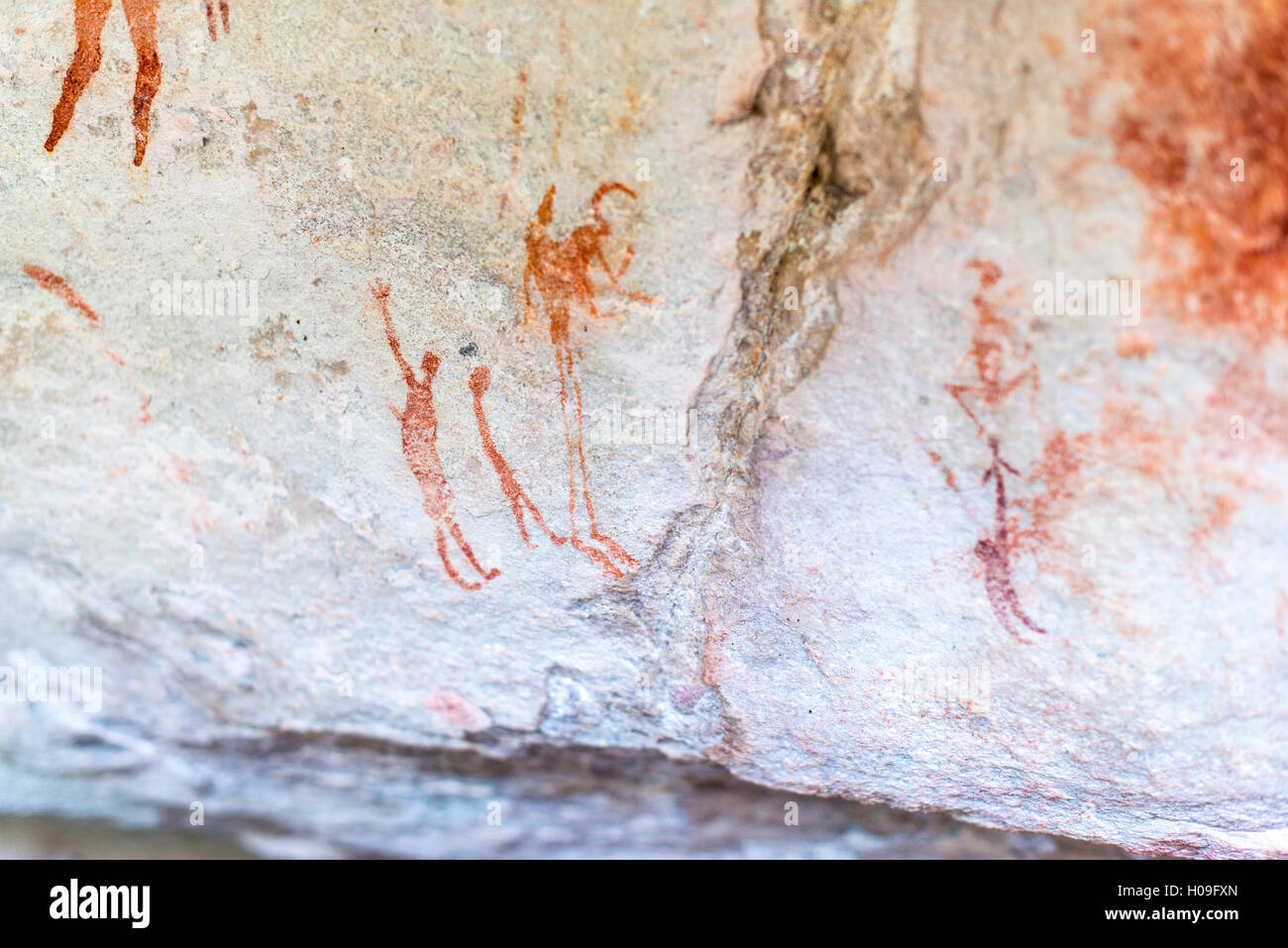 San rock Kunst Höhlenmalereien an der Wand einen felsigen Überhang am Cederberg, Western Cape, Südafrika, Afrika Stockfoto