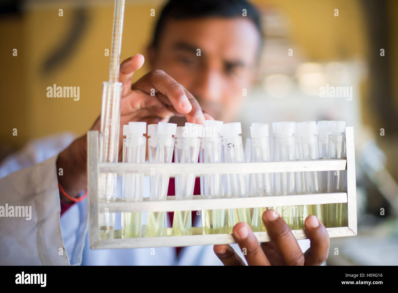 Eine Laborantin arbeiten in einem Labor in einem kleinen Krankenhaus in Nepal hält eine Rack mit Reagenzgläsern, Jiri, Solu Khumbu, Nepal, Asien Stockfoto