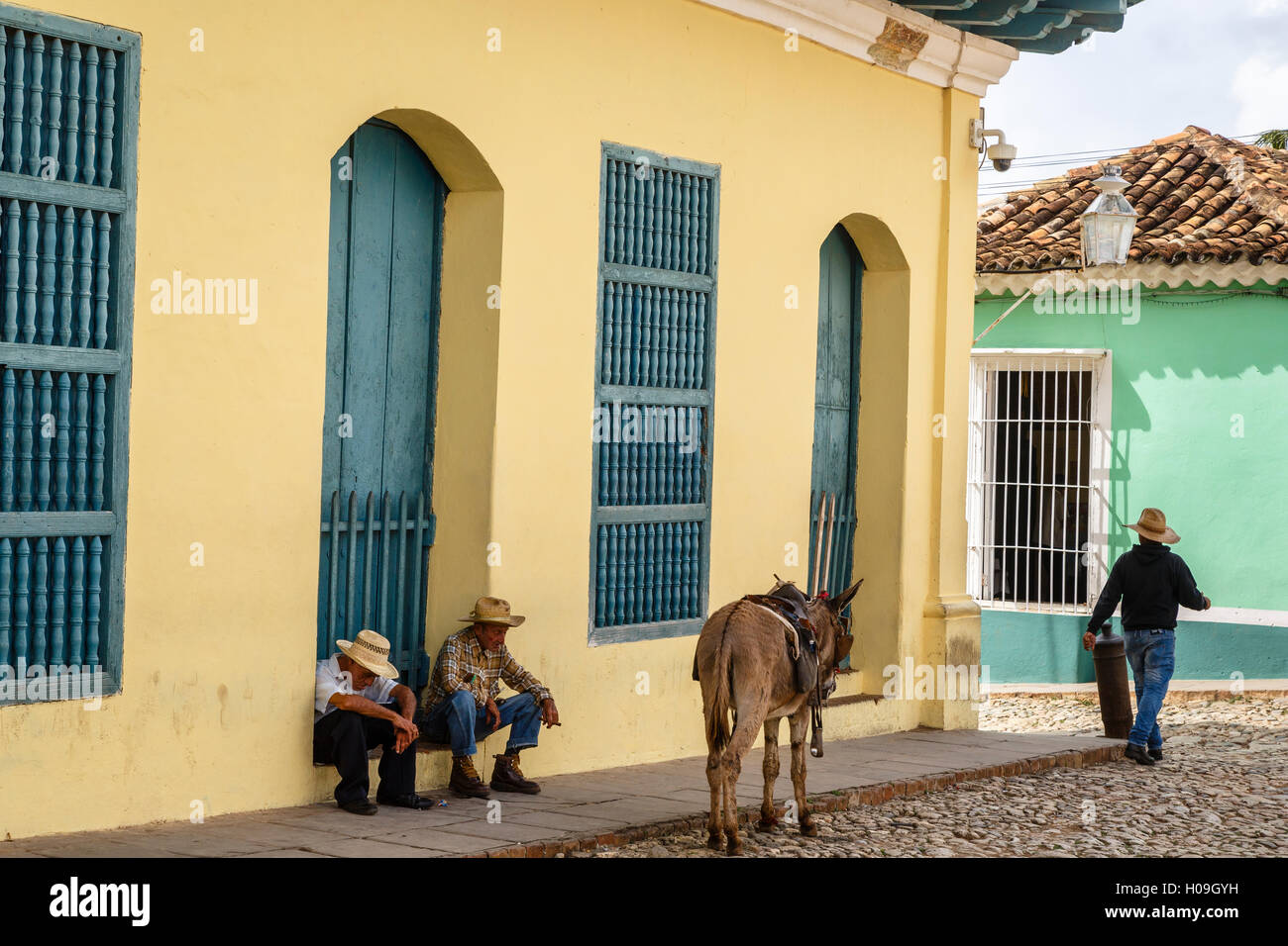 Ältere Männer sitzen mit Esel auf der Straße, Trinidad, Provinz Sancti Spiritus, Kuba, Westindische Inseln, Karibik, Mittelamerika Stockfoto