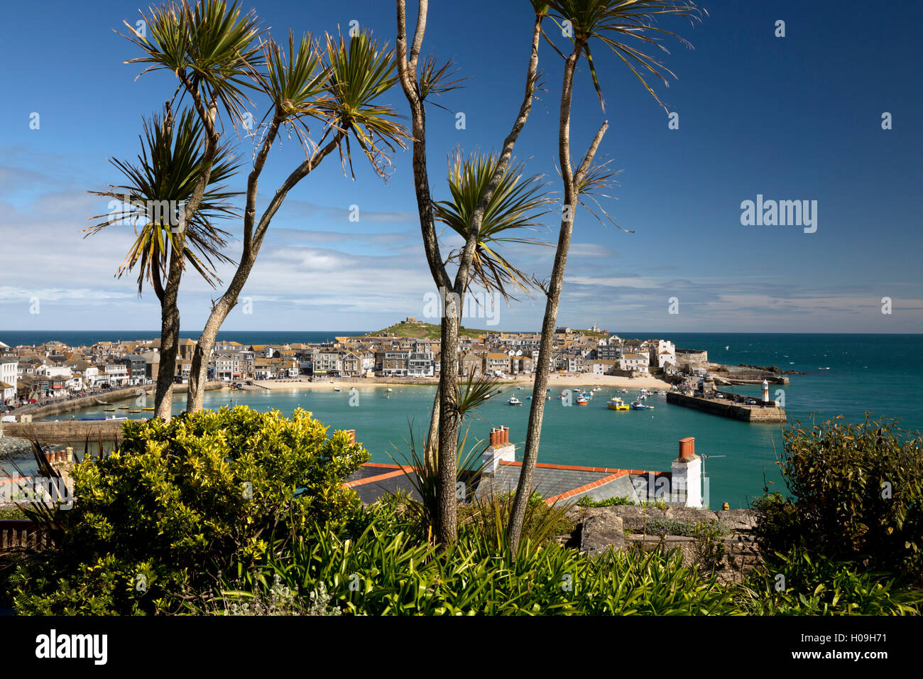 Blick auf Altstadt und Hafen mit Smeatons Pier gesehen von der Malakoff, St. Ives, Cornwall, England, Vereinigtes Königreich, Europa Stockfoto