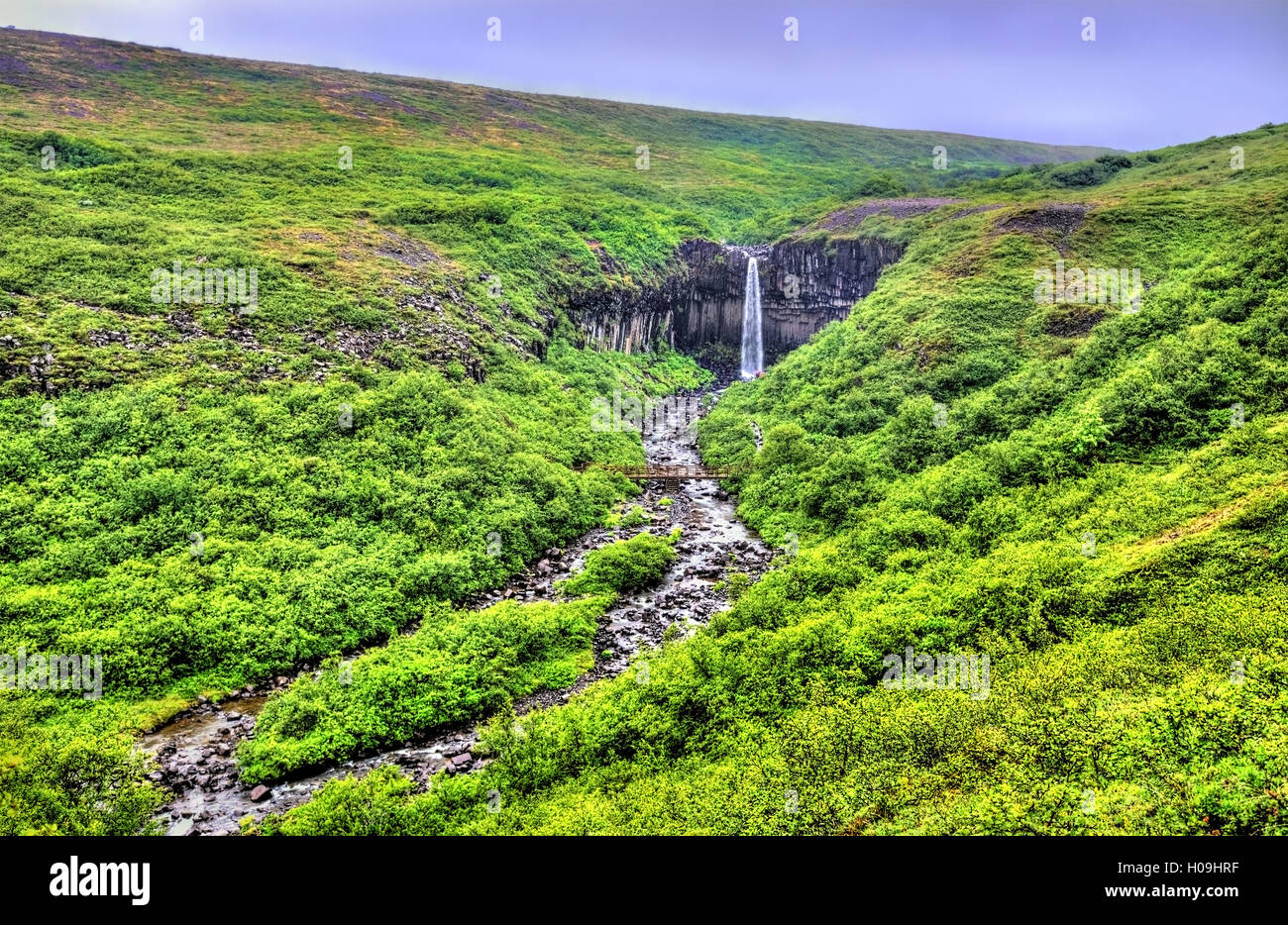 Ansicht der Svartifoss heißt Black Falls, Island Stockfoto