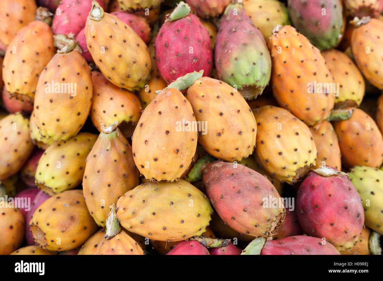 Frische reife ganze Kaktusfeigen am Marktstand, Sizilien Stockfoto