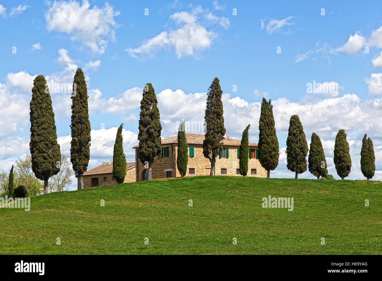 Country Estate und Zypressen, in der Nähe von Pienza, Toskana, Italien Stockfoto