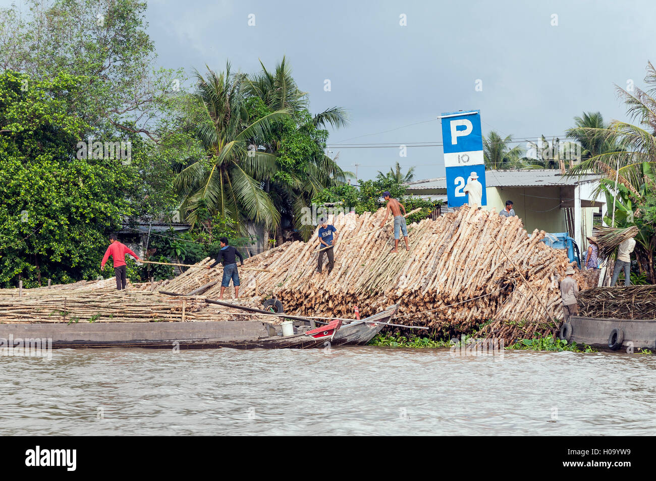 Holzplatz am Mekong, Vietnam Stockfoto