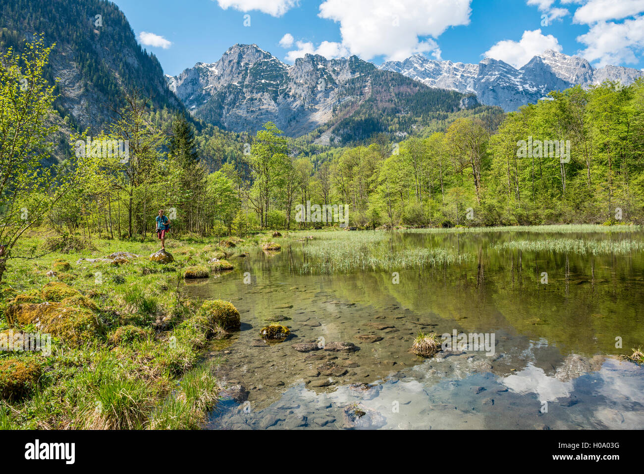 Junger Mann am See, in den Bergen in Mittersee, Salet am Königssee, Nationalpark Berchtesgaden, Berchtesgadener Land wider Stockfoto