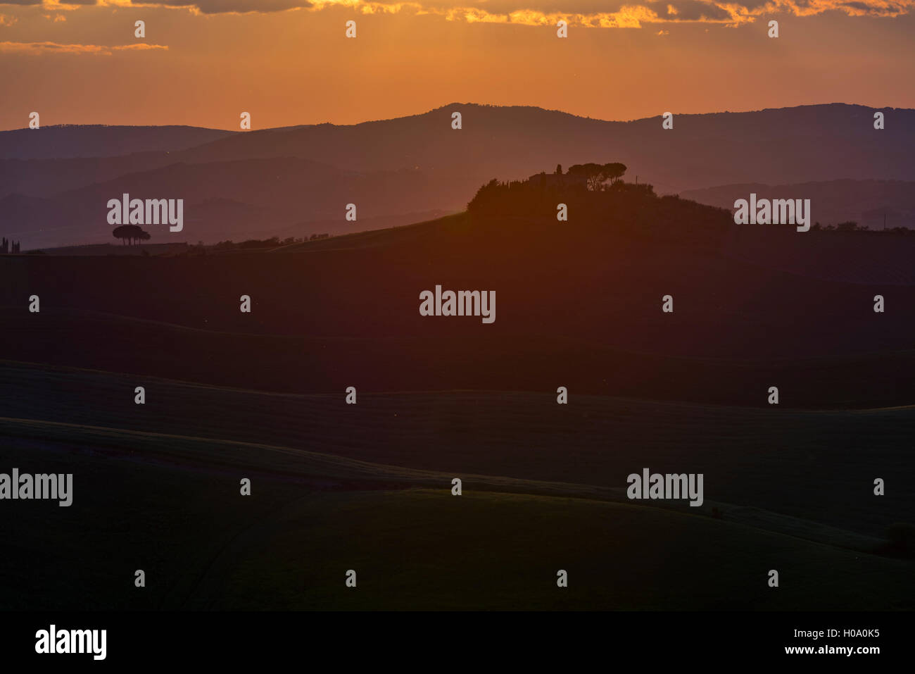 Toskanische Landschaft bei Sonnenuntergang, San Quirico d&#39; Val D'orcia, Val d&#39; Val d'Orcia, Toskana, Italien Stockfoto