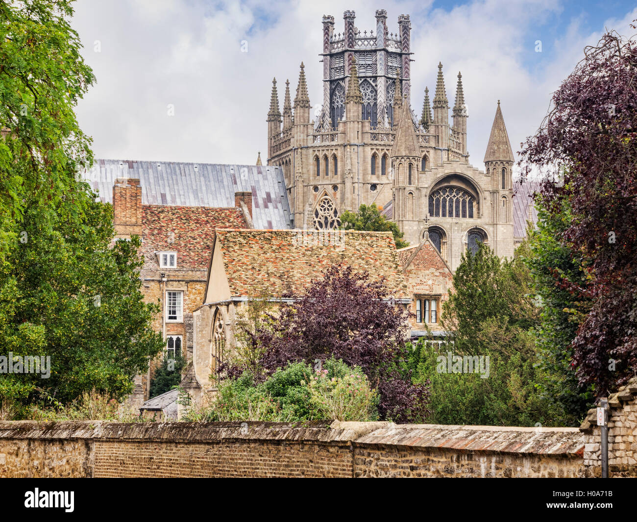 Ely Cathedral, mit seinen berühmten achteckigen Turm, Cambridgeshire, England, UK Stockfoto