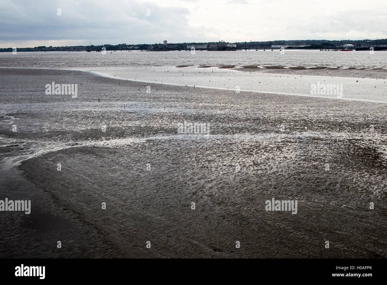 Fluß Mersey Wattenmeer bei Ebbe Liverpool Merseyside UK Stockfoto