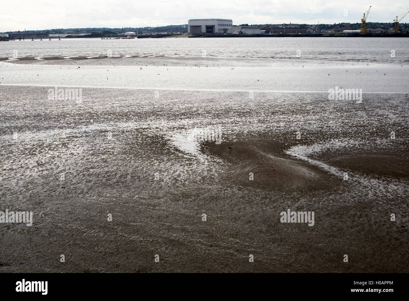 Fluß Mersey Wattenmeer bei Ebbe Liverpool Merseyside UK Stockfoto