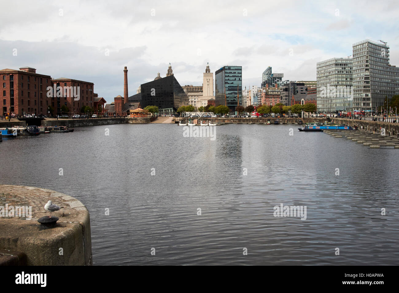 Salthouse Dock und Liverpool one Merseyside UK Stockfoto