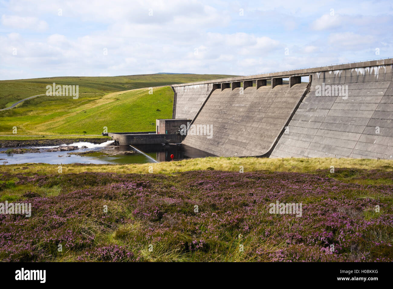 Kuh-Grüne Damm, obere Teesdale National Nature Reserve, Durham, England, UK Stockfoto