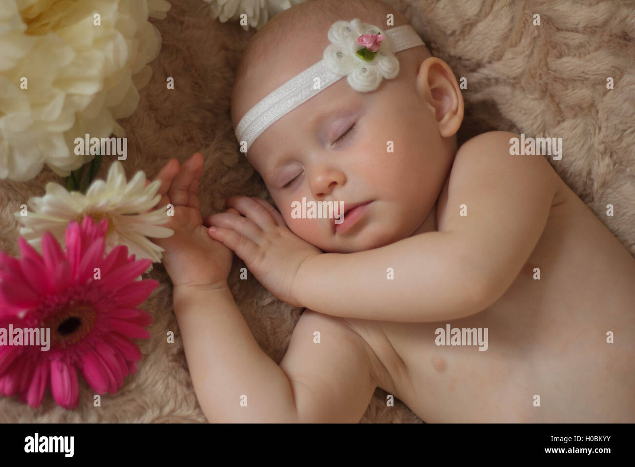 Schlafendes Baby in den Blumen Stockfoto