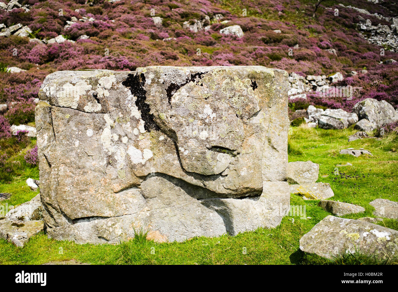 Ein "verwirrt Rock" unter Falcon Clints, obere Teesdale National Nature Reserve, Durham, England, UK Stockfoto