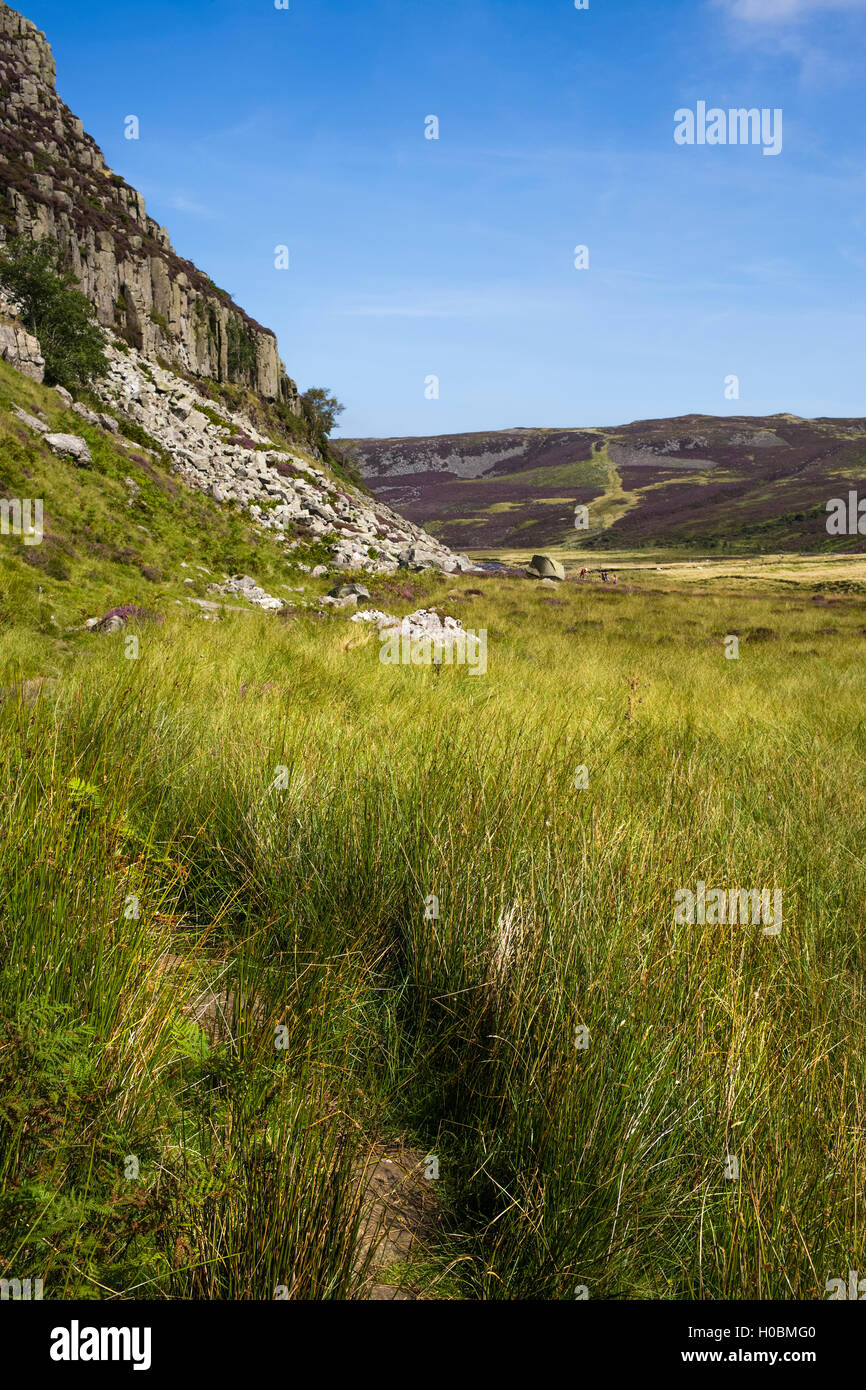 Der Pennine Way unter Falcon Clints, obere Teesdale National Nature Reserve, Durham, England, Vereinigtes Königreich Stockfoto