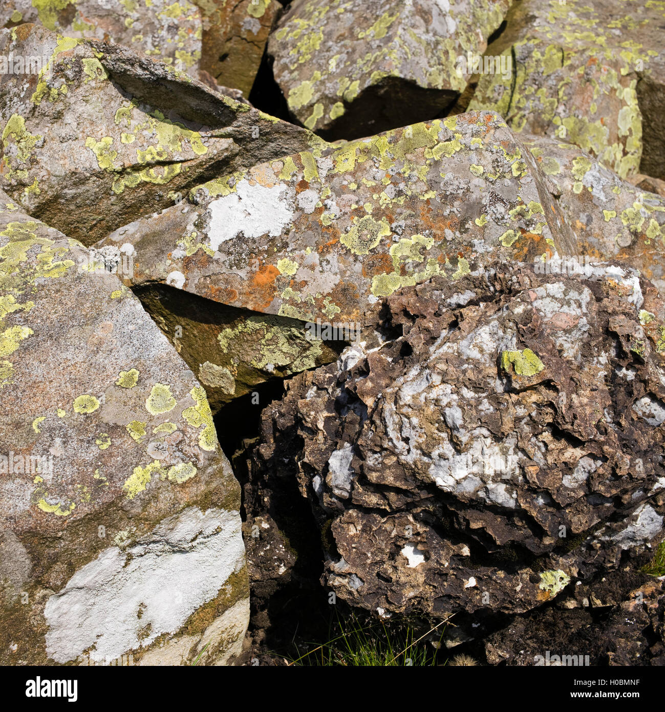 Zerschmetterte auswarfen Felsbrocken und einem Marterl Konglomerat Felsen auf Geröll Hang, obere Teesdale National Nature Reserve, Durham, Großbritannien Stockfoto
