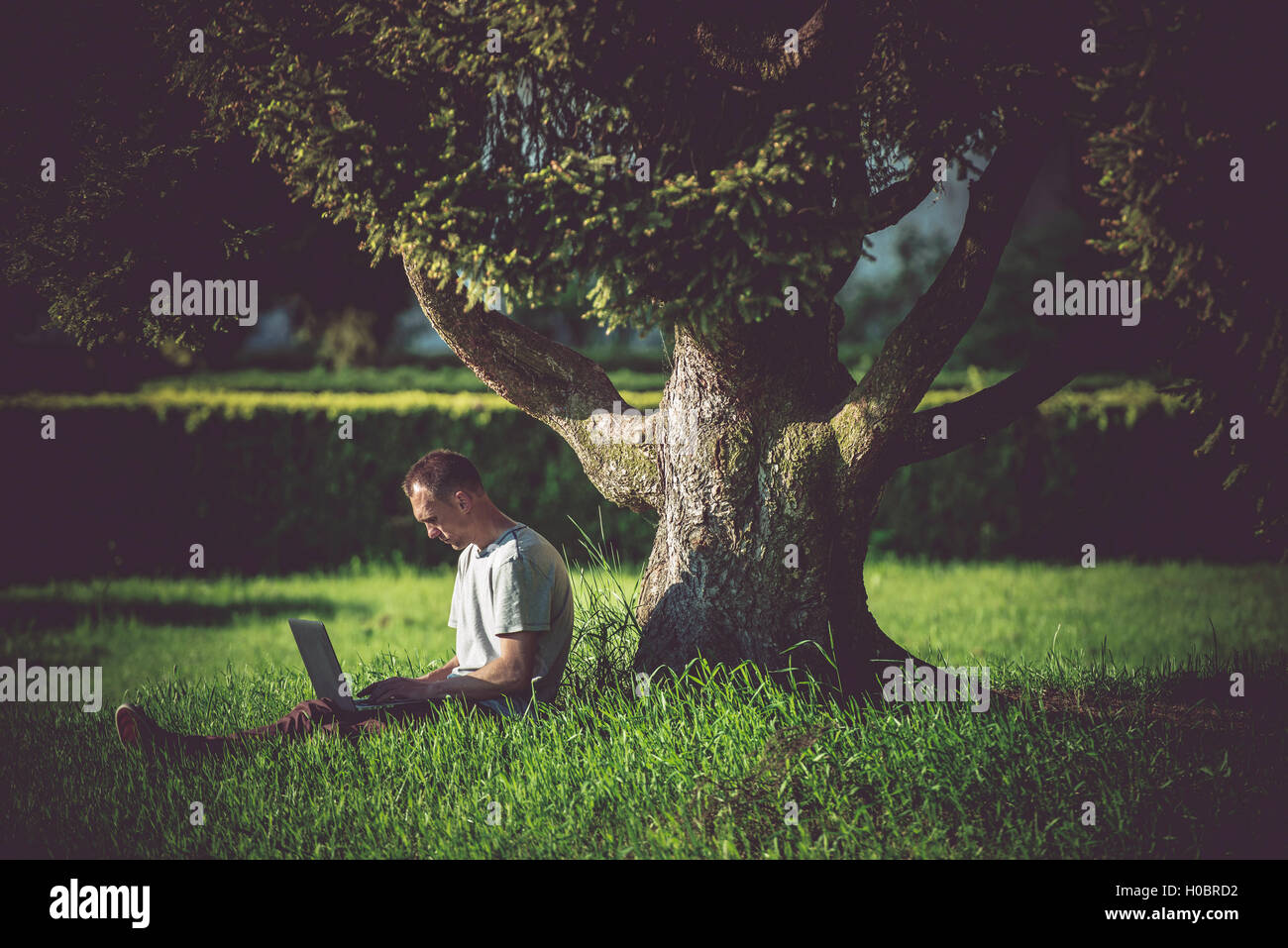 Internet-Pause unter dem Baum. Männer genießen drahtlose Internetverbindung. WiFi-Zugang in den Garten. Kaukasische Männer arbeiten Stockfoto