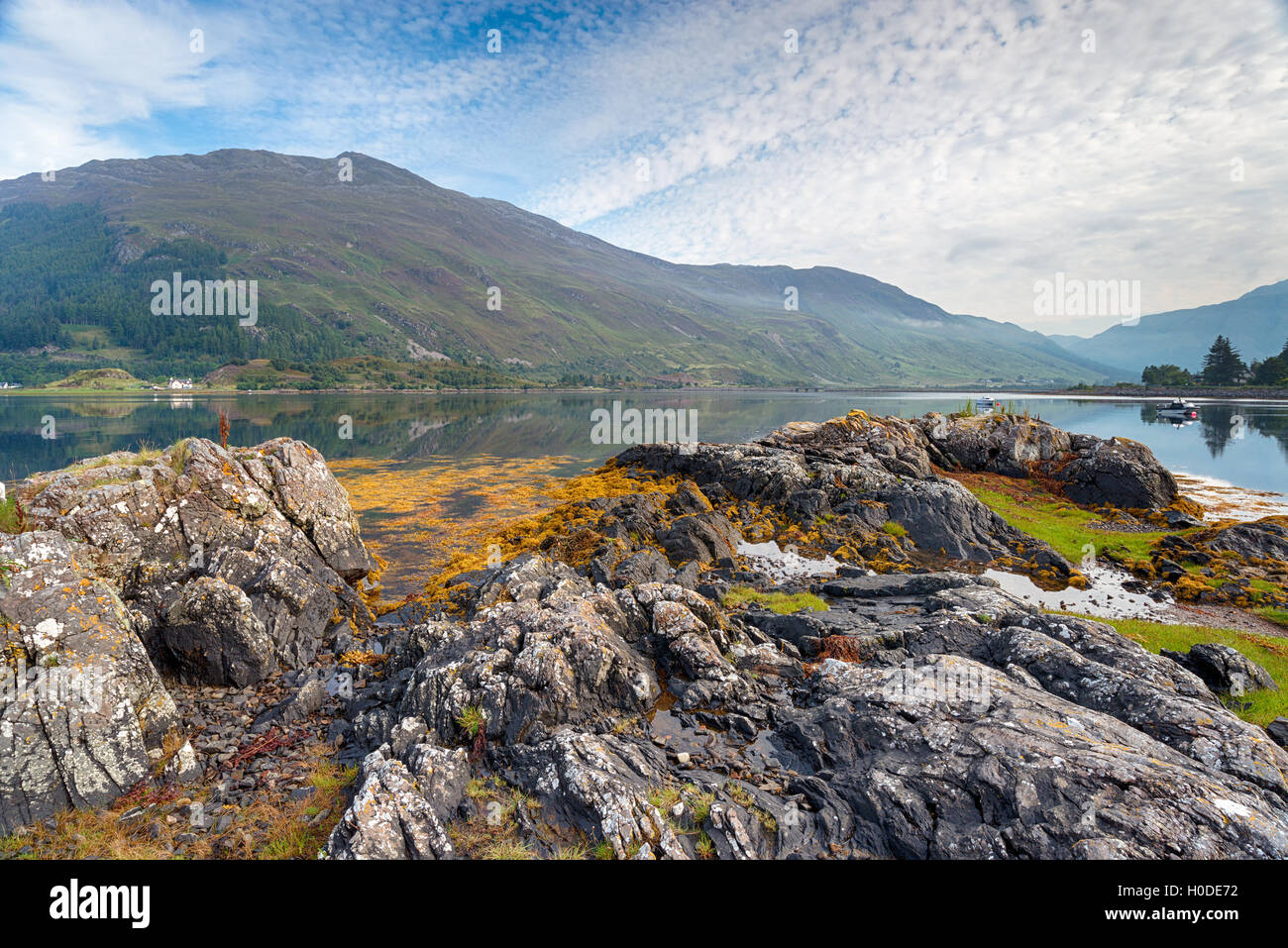 Ein nebliger Morgen am Ufer des Loch Duich in den Highlands von Schottland Stockfoto