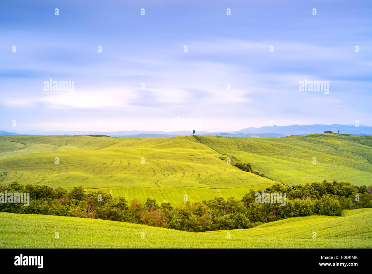 Toskana Land Landschaft, Zypresse und grünen Feldern. Italien, Europa. Stockfoto