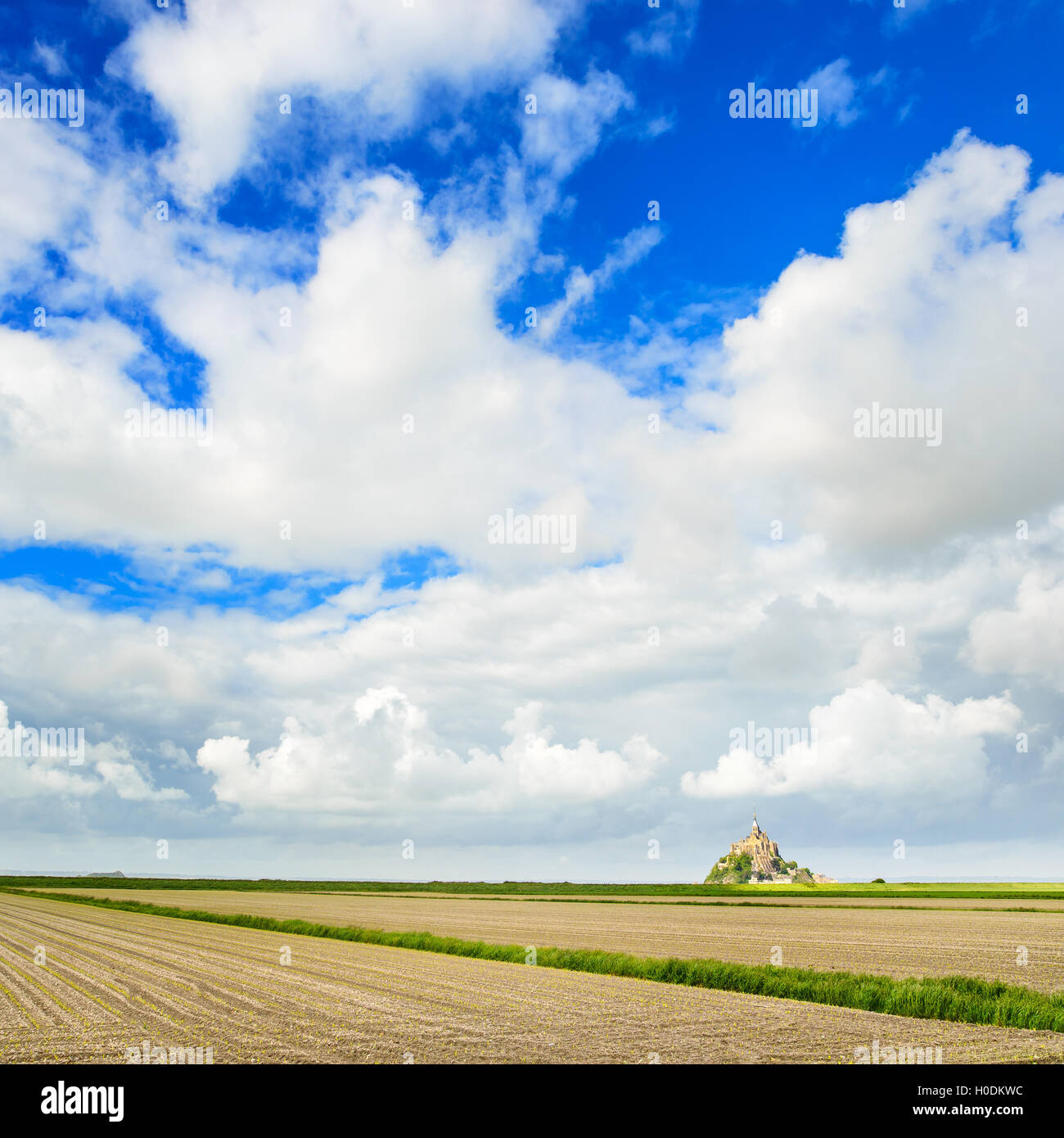 Mont Saint Michel Kloster Wahrzeichen und Feld. UNESCO-Weltkulturerbe. Normandie, Frankreich, Europa. Stockfoto