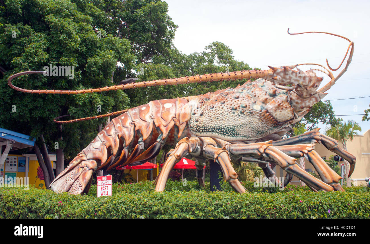 Riesige Hummer-Skulptur in Islamorada, Florida Keys, eine beliebte Haltestelle am Straßenrand und Fotogelegenheit für Reisende, die die skurrilen Küstenattraktionen erkunden. Stockfoto