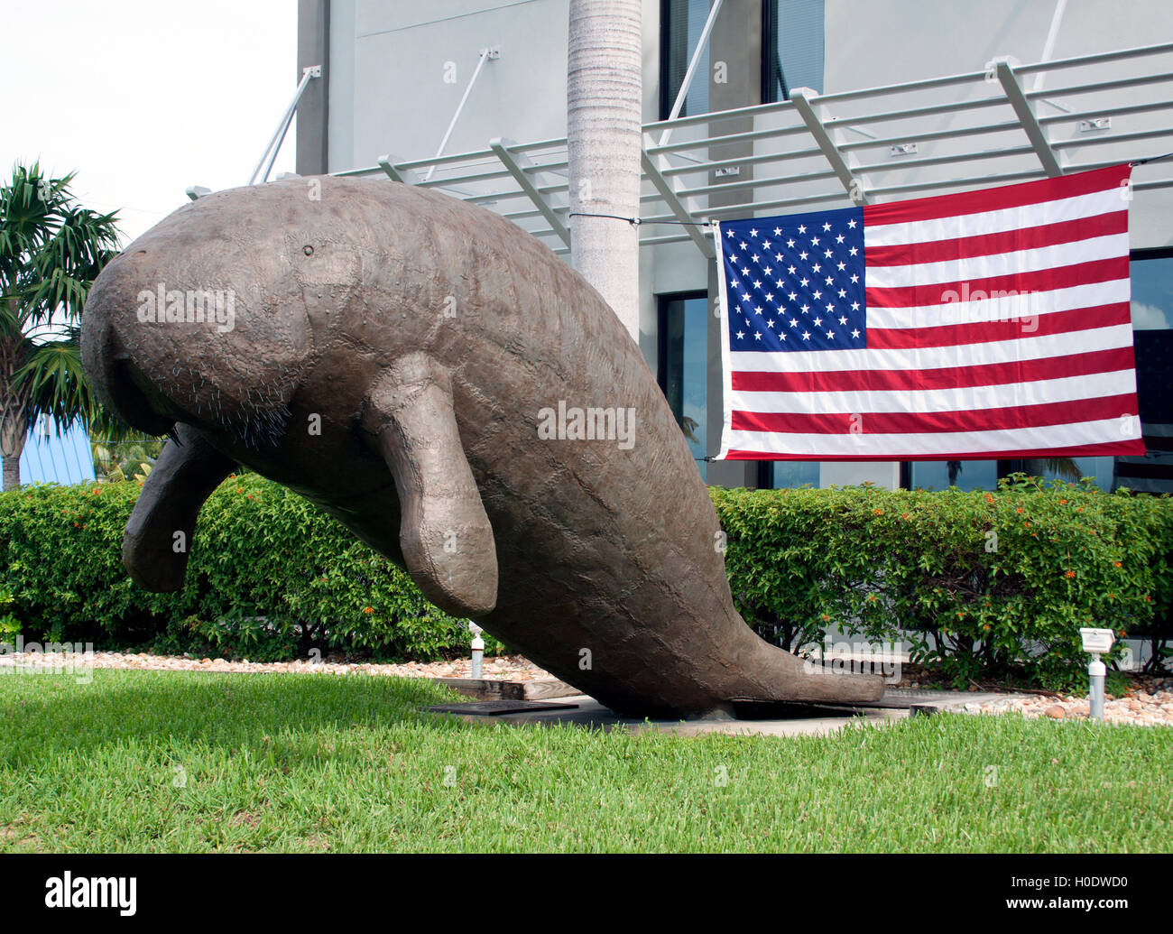 Manatee Skulptur in Key West Florida Stockfoto