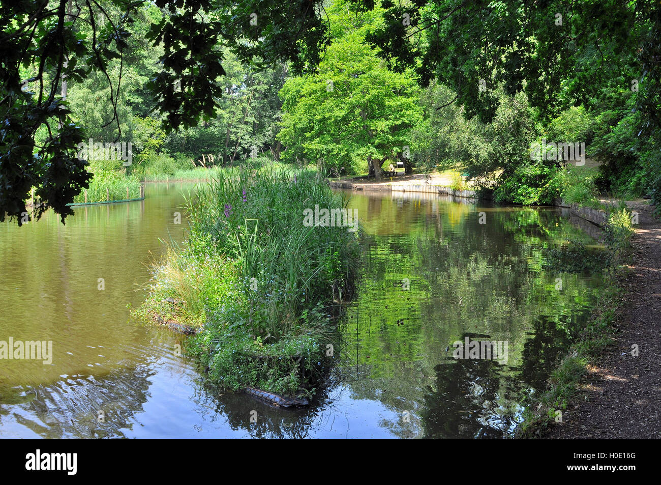 Schwimmende Inseln für Wildtiere auf den Hiltingbury Lakes, Chandlers Ford, Eastleigh, Hampshire, England. Stockfoto