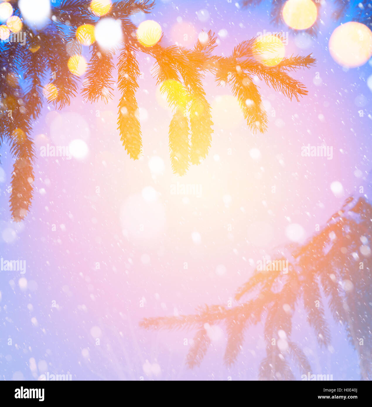 Weihnachtsbaum auf blauem Hintergrund verschneiter Stockfoto