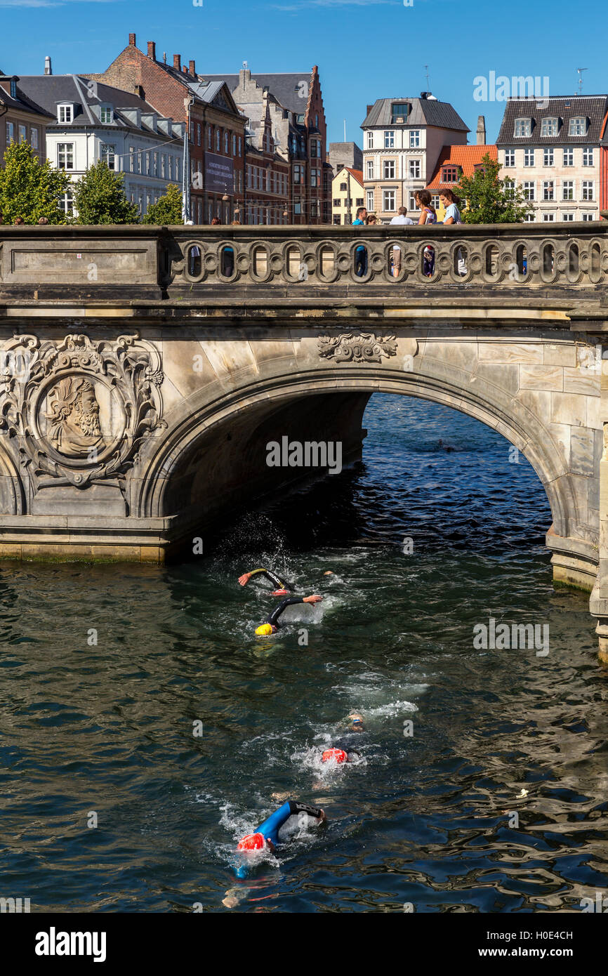 Ein 2 km Freiwasser schwimmen Ereignis durch die Grachten, Christiansborg Rundt, Marmor-Brücke, Slotsholmen, Kopenhagen, Dänemark Stockfoto