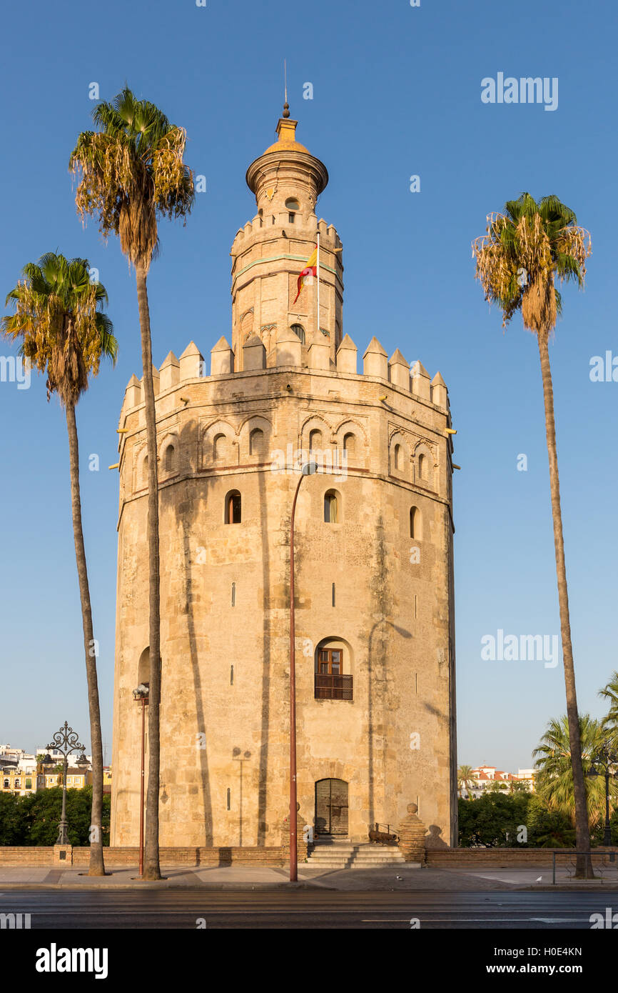 Der Torre del Oro (Turm des Goldes), Sevilla, Andalusien, Spanien Stockfoto