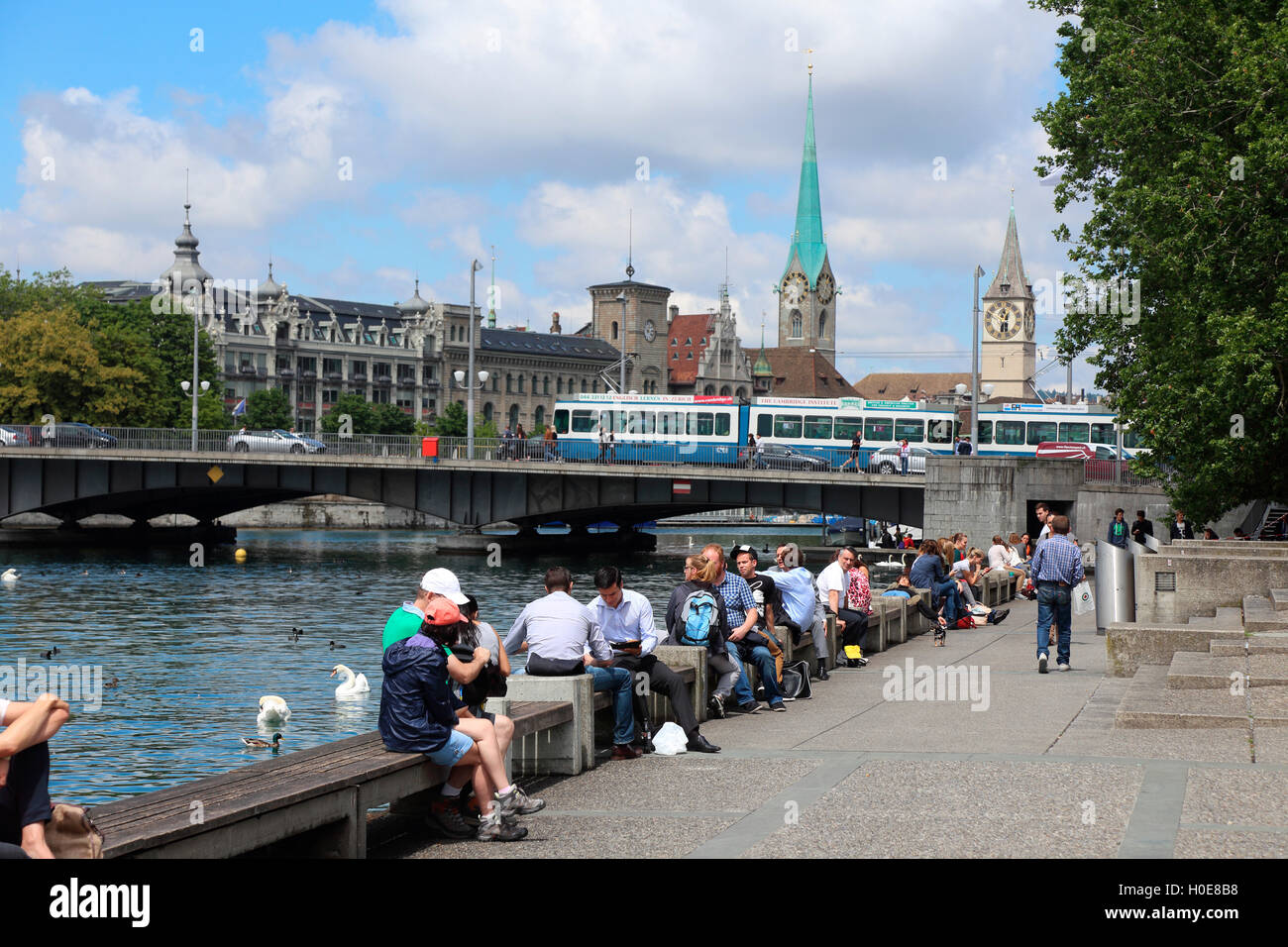 Zürich Schweiz Zürichsee Zürisee Stockfoto