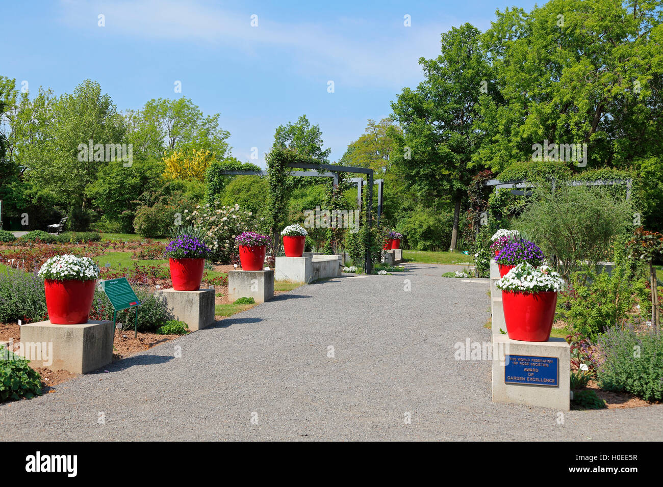 Sangershausen Europa Rosarium Stockfoto