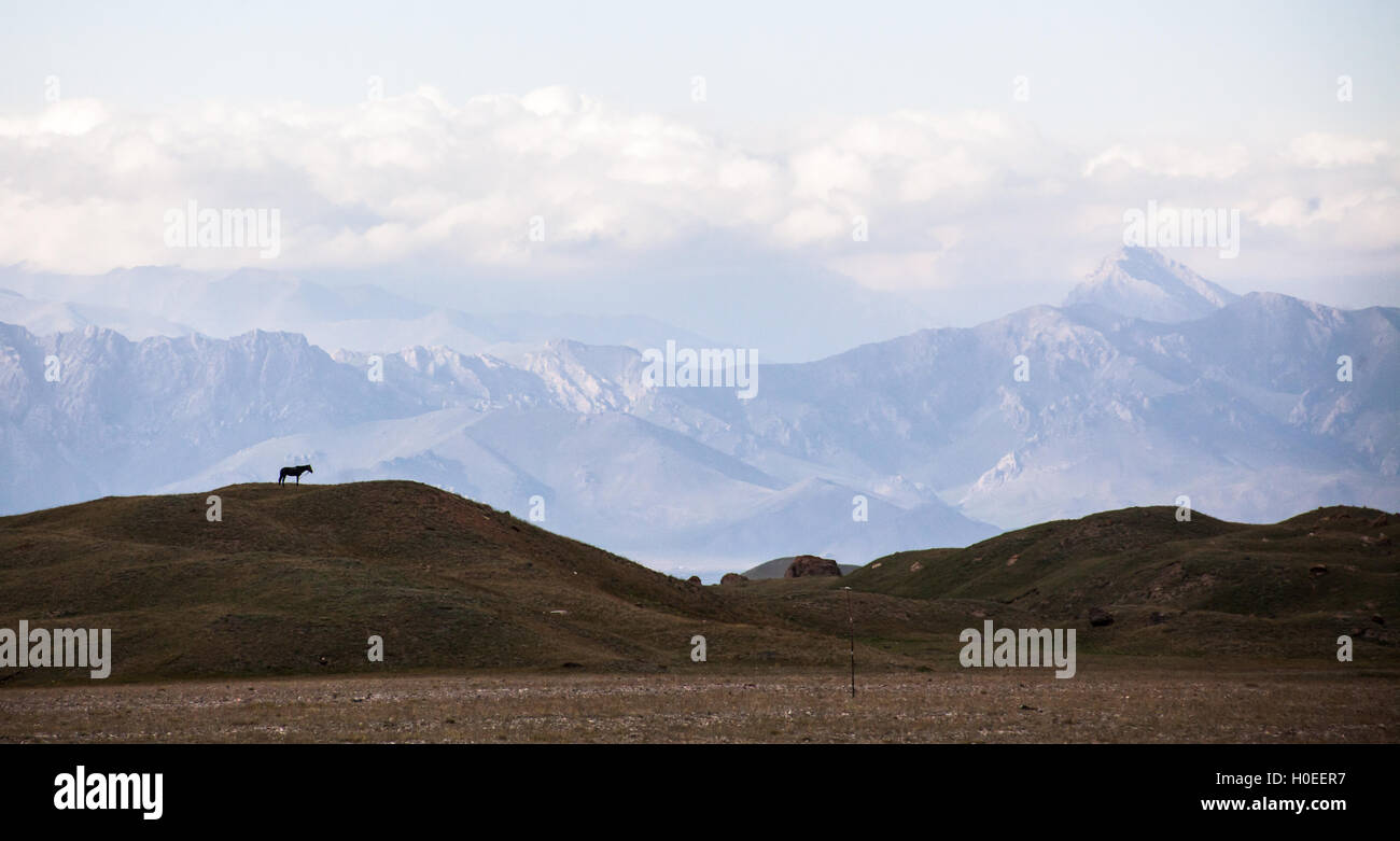 Pferd Sihluette und Berge. Atchik Tash Wiese. Pik Lenin Basislager. Stockfoto
