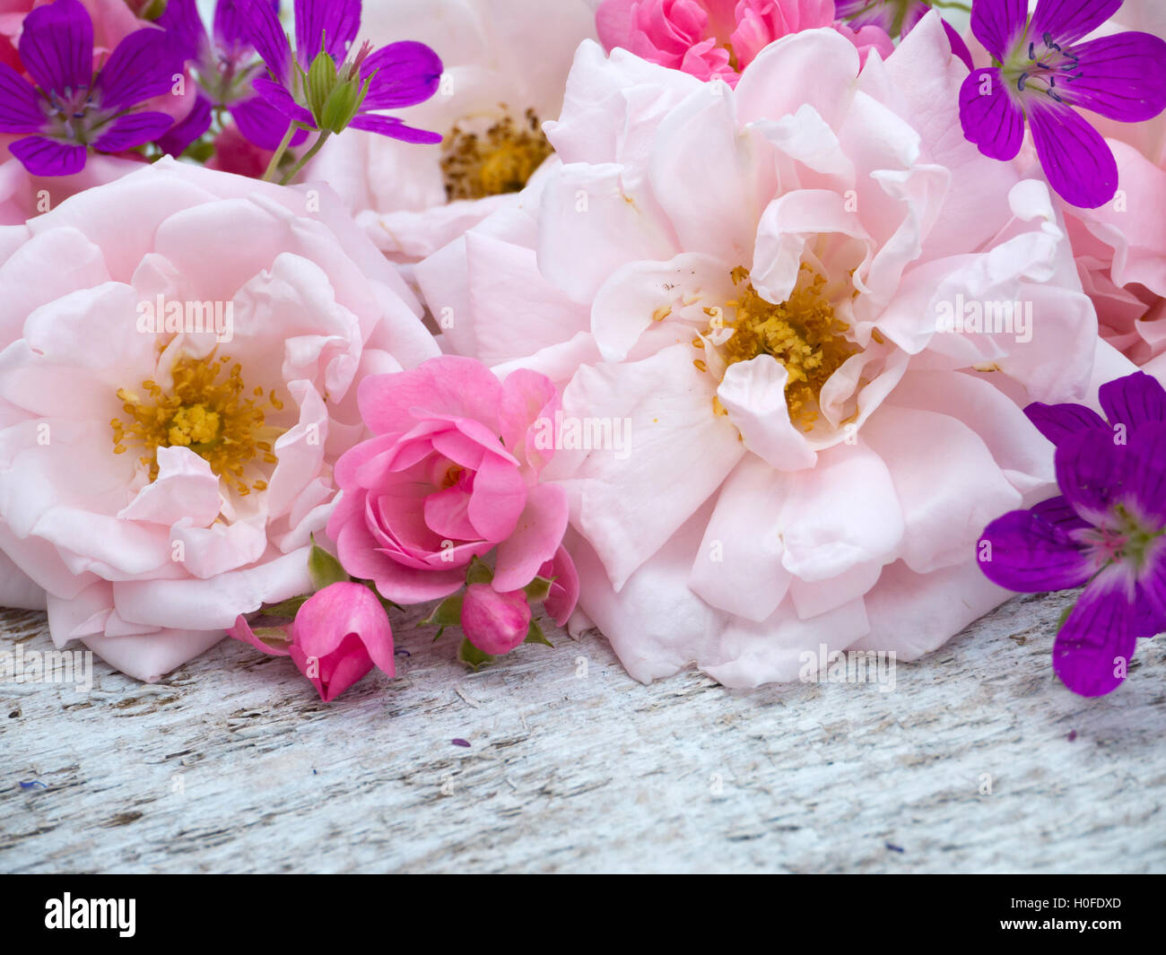 Großen blass rosa und kleine leuchtend rosa Rosen und Geranien Bouquet auf dem weißen groben Holztisch Stockfoto