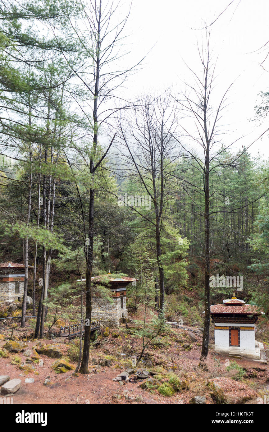Aufstieg auf den Tiger Nest Taktsang Kloster in der Nähe von Paro, Bhutan Stockfoto