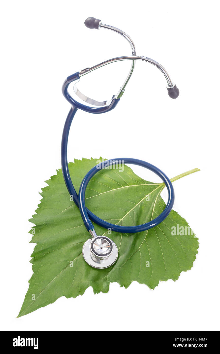 Alternative Medizin Kräuter und Stethoskop auf Blatt Stockfoto